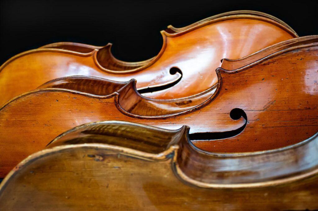 cello, musical instruments, bowed stringed instrument-4480885.jpg